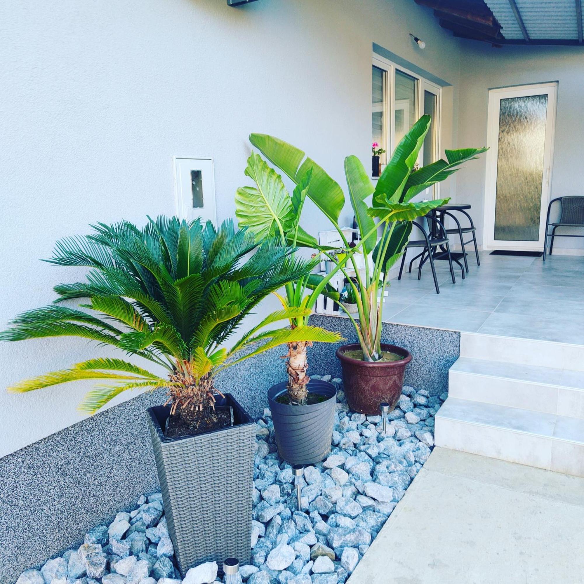 Apartmani Sun & Moon Belovár Kültér fotó